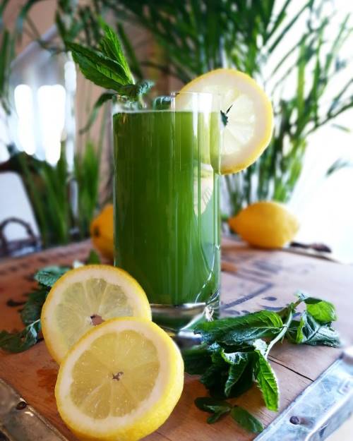 Matcha moctail